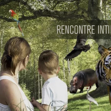 Les explorateurs du lien Agenda Zoo